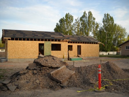 Roof decking and rolled roofing