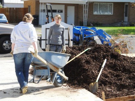 and moved wheelbarrow loads of bark