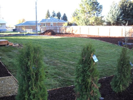 When the work was complete, the back yard