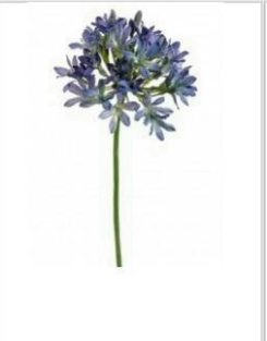 Artificial Flowers Agapanthus