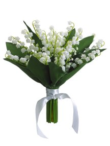 lily of the valley