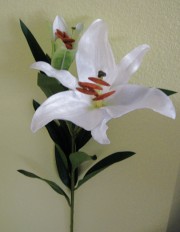 real touch white Casablanca lily