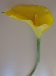 real touch calla lily