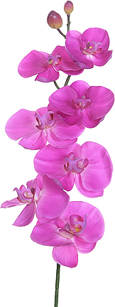 Artificial , Fake Flowers, Orchids