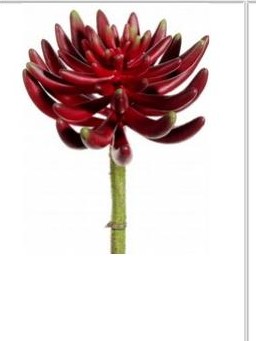 Artificial, faux, nearly natural Succulent