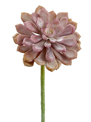 Artificial, faux, nearly natural Succulent