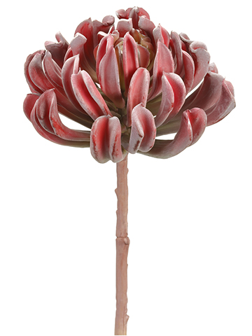 Artificial, faux, nearly natural Succulent
