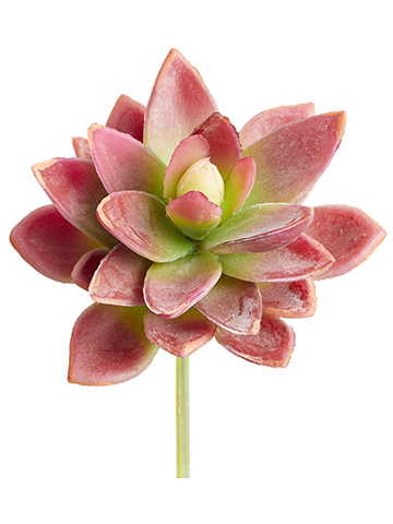 Artificial, faux, nearly natural Succulent