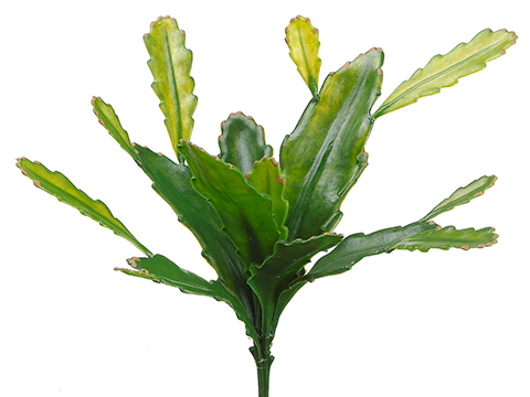 Artificial, faux, nearly natural Succulent