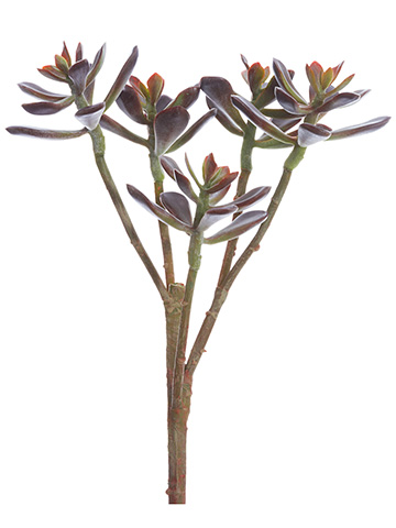 Artificial, faux, nearly natural Succulent