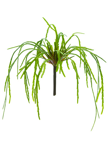 Artificial, faux, nearly natural Succulent