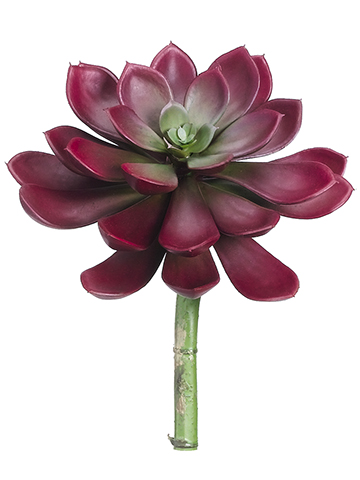 Artificial, faux, nearly natural Succulent