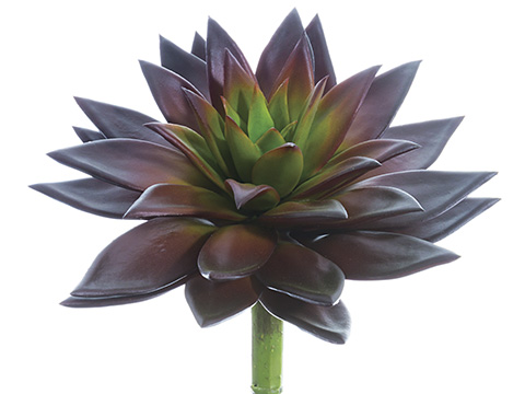 Artificial, faux, nearly natural Succulent