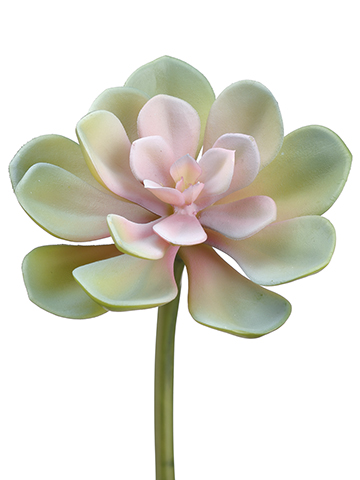 Artificial, faux, nearly natural Succulent