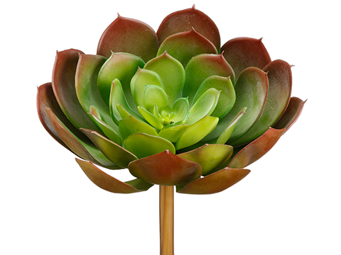 Artificial, faux, nearly natural Succulent