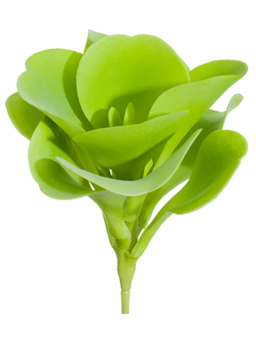 Artificial, faux, nearly natural Succulent