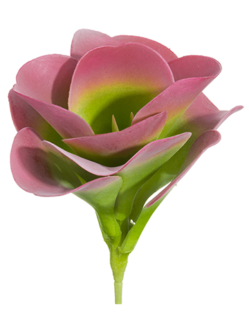 Artificial, faux, nearly natural Succulent