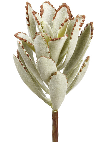 Artificial, faux, nearly natural Succulent