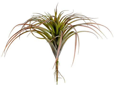 Artificial, faux, nearly natural Succulent