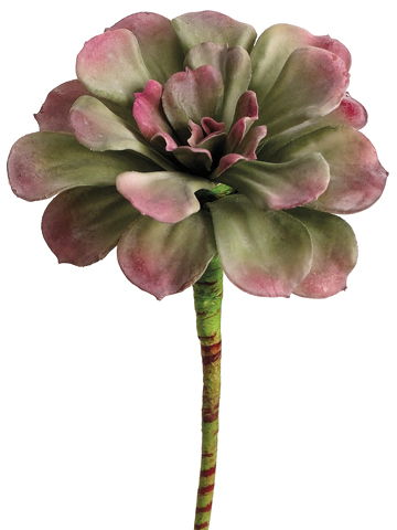 Artificial, faux, nearly natural Succulent