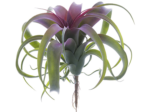 Artificial, faux, nearly natural Succulent