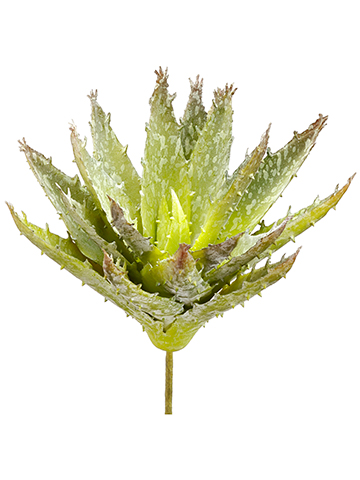 Artificial, faux, nearly natural Succulent