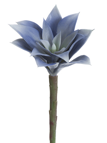 Artificial, faux, nearly natural Succulent