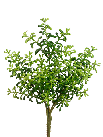 Artificial, faux, nearly natural Succulent