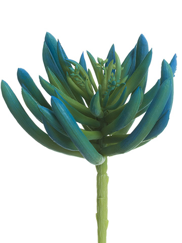 Artificial, faux, nearly natural Succulent
