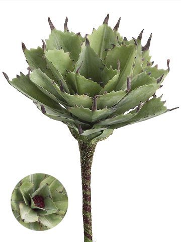 Artificial, faux, nearly natural Succulent