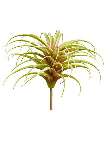 Artificial, faux, nearly natural Succulent