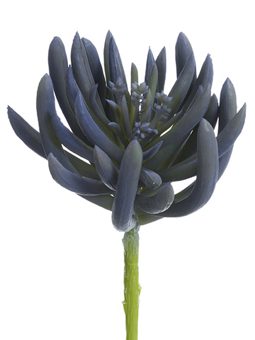Artificial, faux, nearly natural Succulent