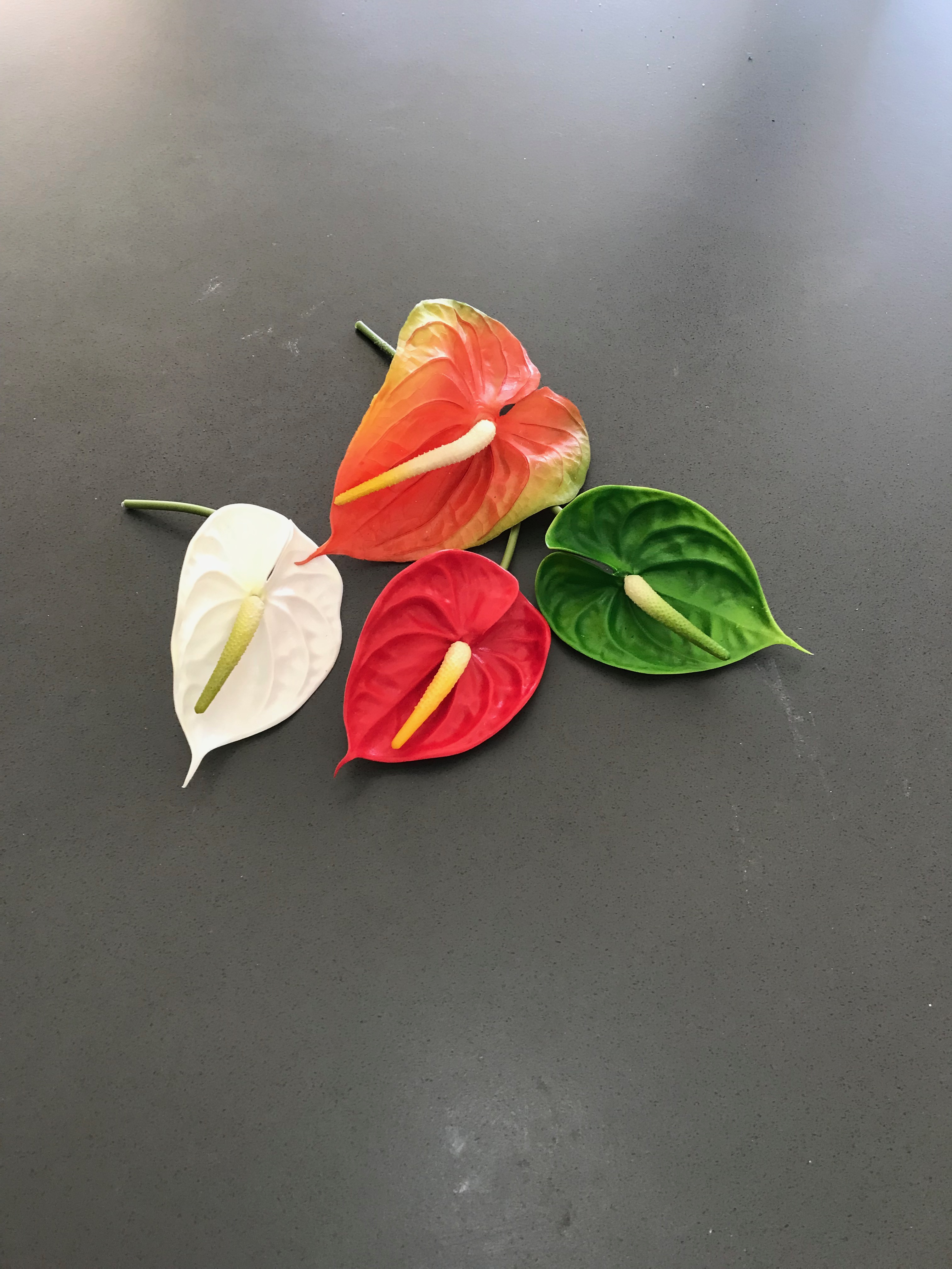 anthuriums