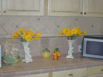 Kitchen Tile