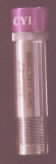 Enlarged Image