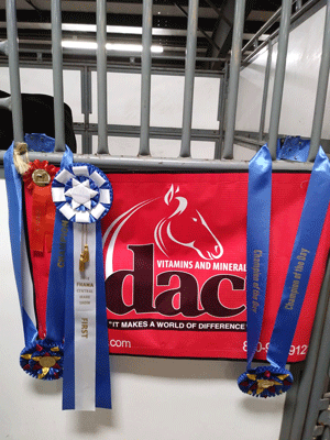 DAC-Awards