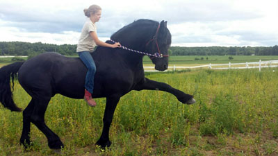 Hanna & Nitrous