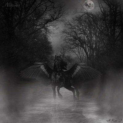 Nitrous by Alyssa Johnson