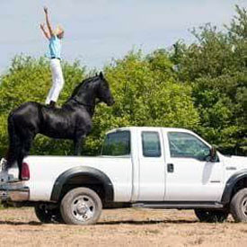 Nitrous & Ashley -truck