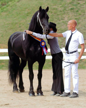Majestic Friesians - Tritan Award