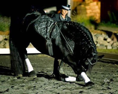 Prodigy Bowing