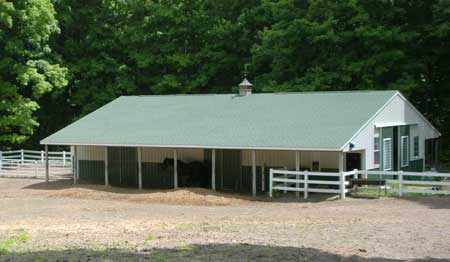 Majestic Friesian Stable