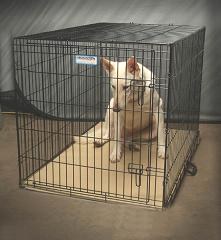 discounted pet beds