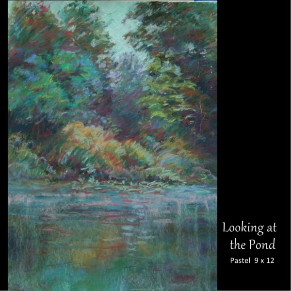Looking at the Pond