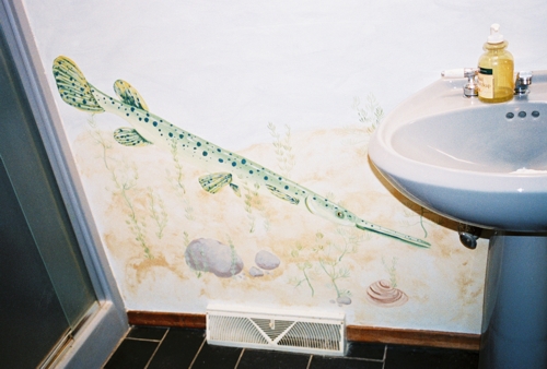 Murals