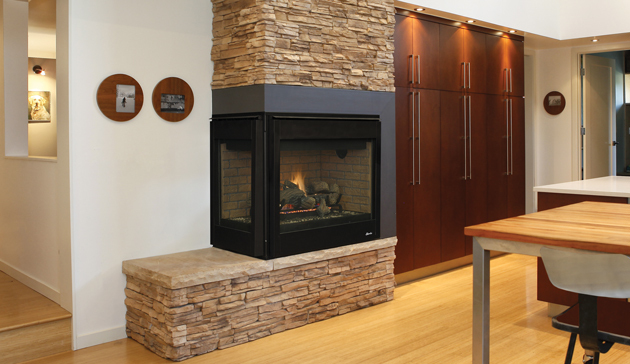 Direct-Vent Multi-View Gas Log Fireplace