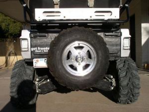Yamaha Rhino Spare Tire Holder / Carrier