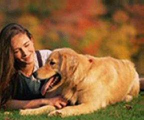 pets - beautiful - huh?
