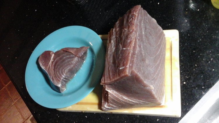 Fresh Tuna