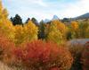 Fall In The  Tetons